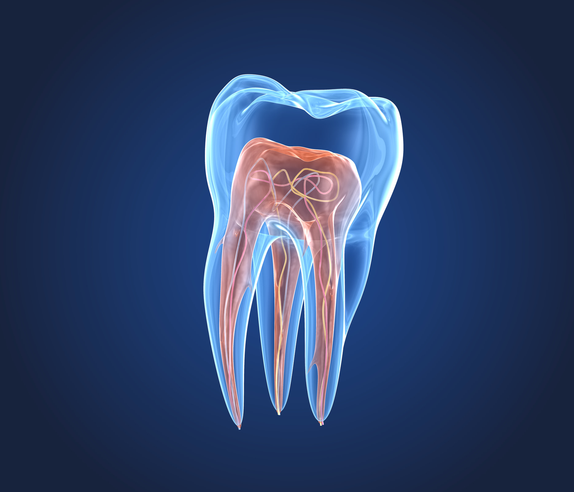 Endodontia Voito Odontologia